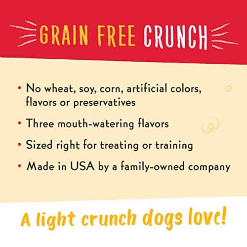 Charlee Bear Grain-Free Bear Crunch Chicken, Pumpkin & Apple Flavor Crunchy Dog Treats- 2 Pack (16oz Total) - Image 4