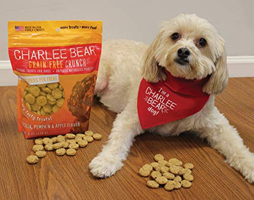 Charlee Bear Grain-Free Bear Crunch Chicken, Pumpkin & Apple Flavor Crunchy Dog Treats- 2 Pack (16oz Total) - Image 2