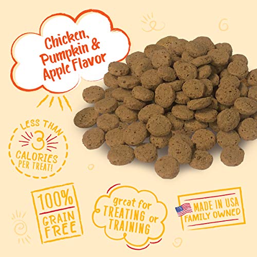 Charlee Bear Grain-Free Bear Crunch Chicken, Pumpkin & Apple Flavor Crunchy Dog Treats- 2 Pack (16oz Total) - Image 3