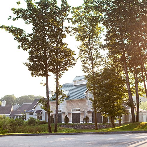 Stonewall Kitchen Grapefruit Thyme Hand Soap Refill, 35 Ounces - Image 4