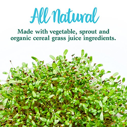 Garden of Life Perfect Food Super Green Formula - 14 Servings | 45 Superfoods, Greens, Fruit & Veggie Juice Superfood Powder Supplement, Probiotics & Organic Spirulina for Digestion & Immune Health - Image 7