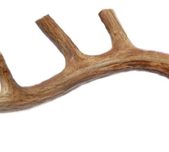 XL Deer Antler Dog Chew – Extra Large, Jumbo, for Large Dogs and Puppies Who are Aggressive Chewers