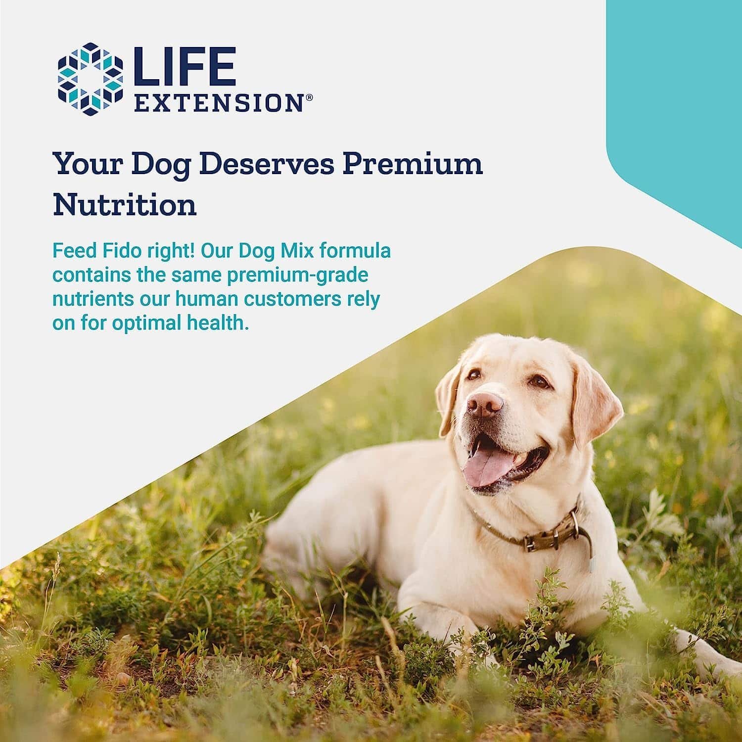 Life Extension Dog Mix - Daily Nutrition Care Supplement Powder for Your Canine Pet - Advanced Formula with Vitamins, Probiotics & Essential Fatty Acids - Gluten-Free, Non-GMO ? 100 g, 60 Servings - Image 4