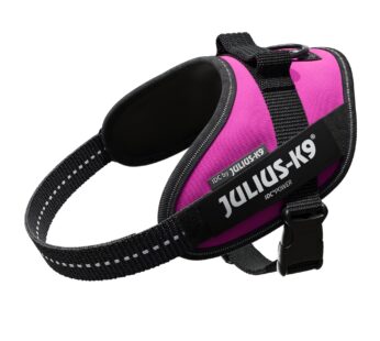 IDC Powerharness, Size: S/Mini, Dark Pink