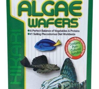 Hikari Usa Inc AHK21328 tropical Algae Wafer 8.8-Ounce
