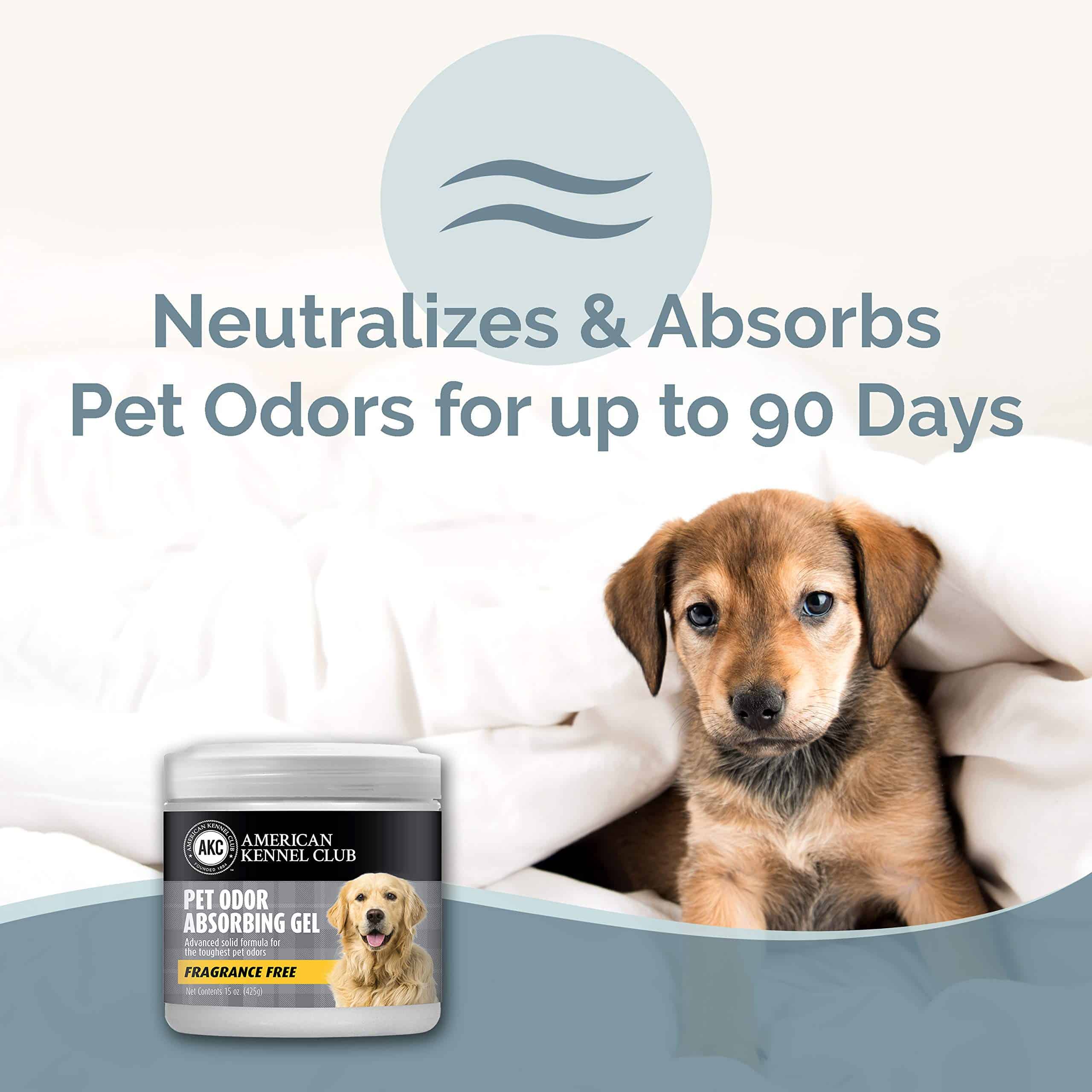 SMELLS BEGONE Pet Odor Absorber Gel - Air Freshener & Odor Eliminator - Formulated for The Toughest Pet Odors - Fragrance Free - 15 Ounce - 2 Pack - Image 2