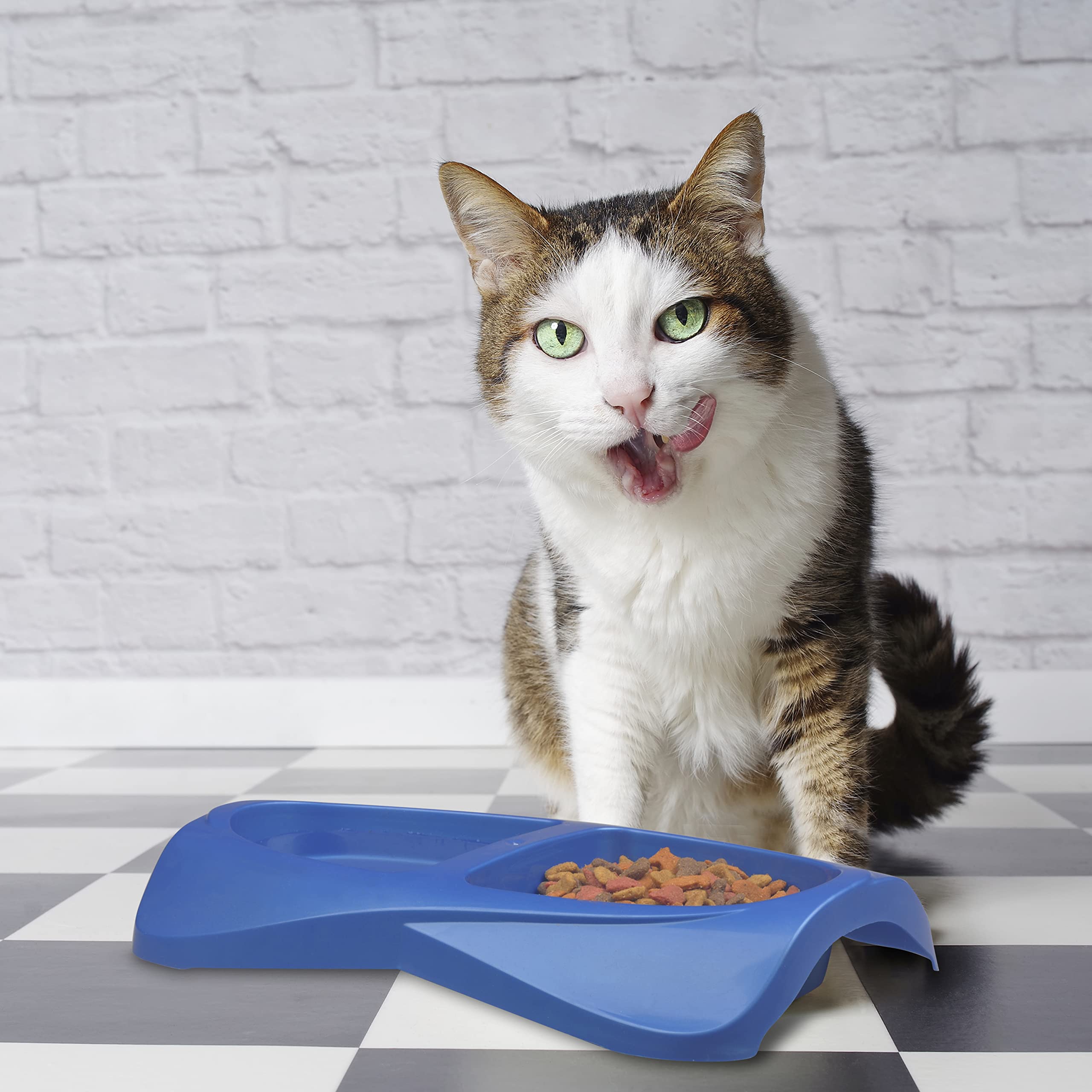 Van Ness Lightweight Small Double Dish, 8 Ounce per side,Blue - Image 4