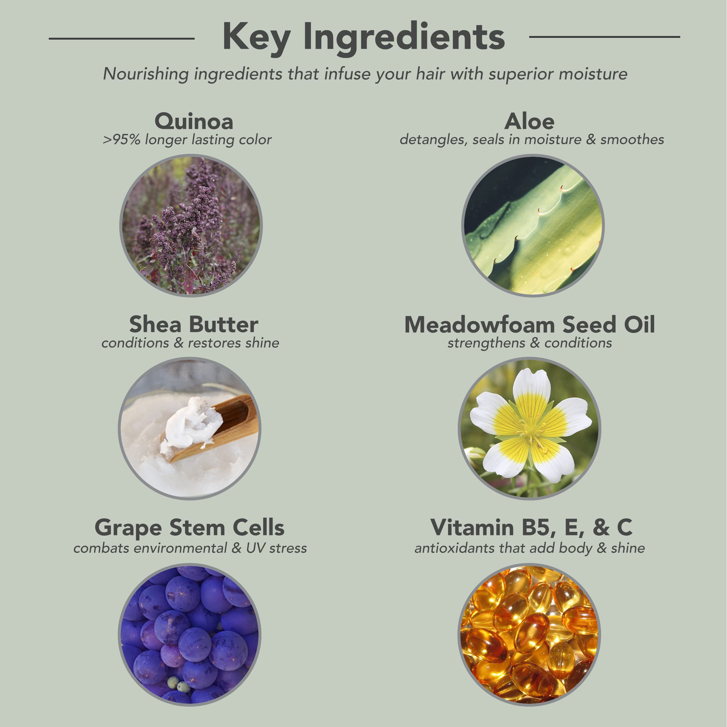 FRAMESI Color Lover Moisture Rich Shampoo, Sulfate Free with Quinoa & Aloe Vera, Color Treated Hair, Fresh, 33.81 Fl Oz - Image 6