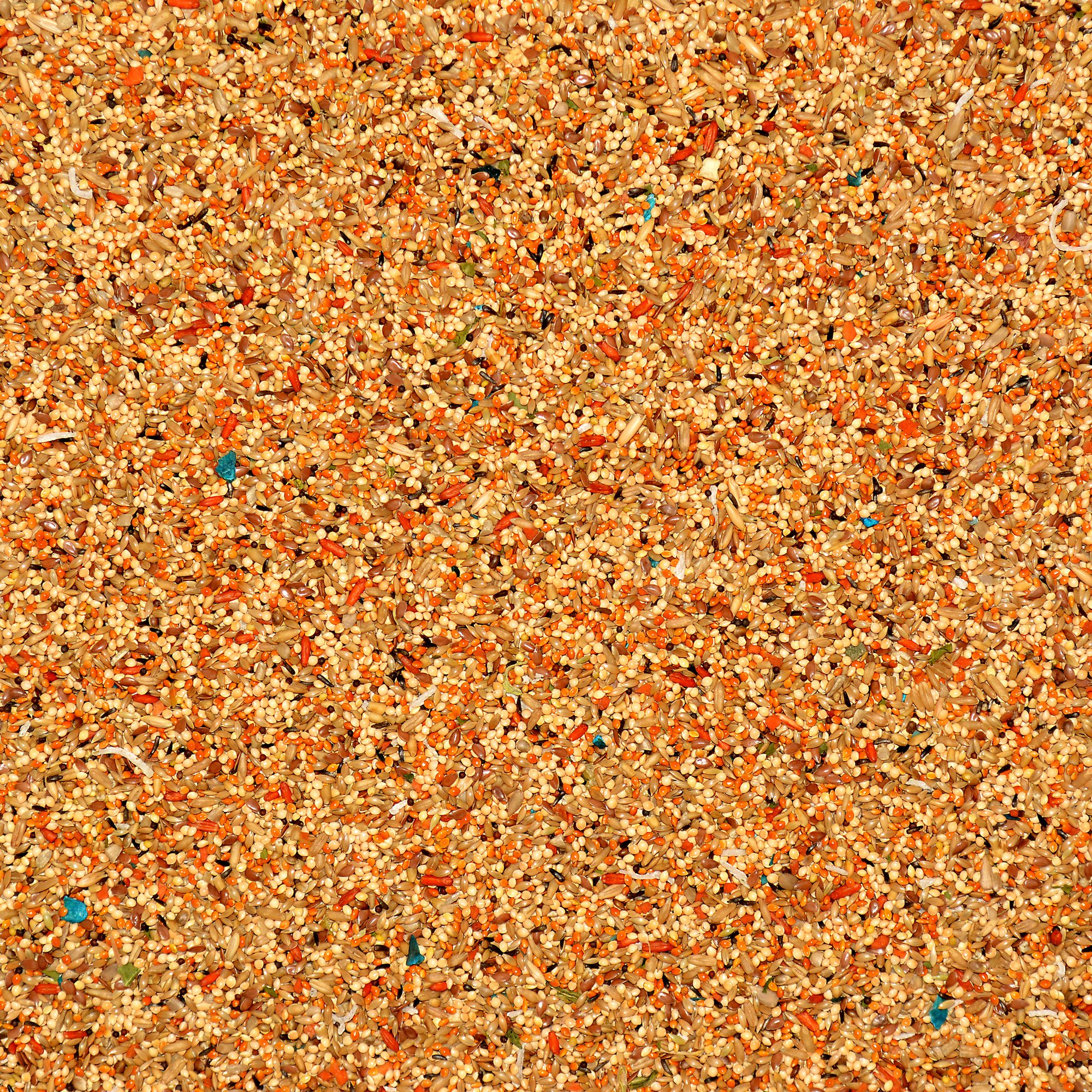 Volkman Avian Science Super Parakeet Bird Food 4lb - Image 2